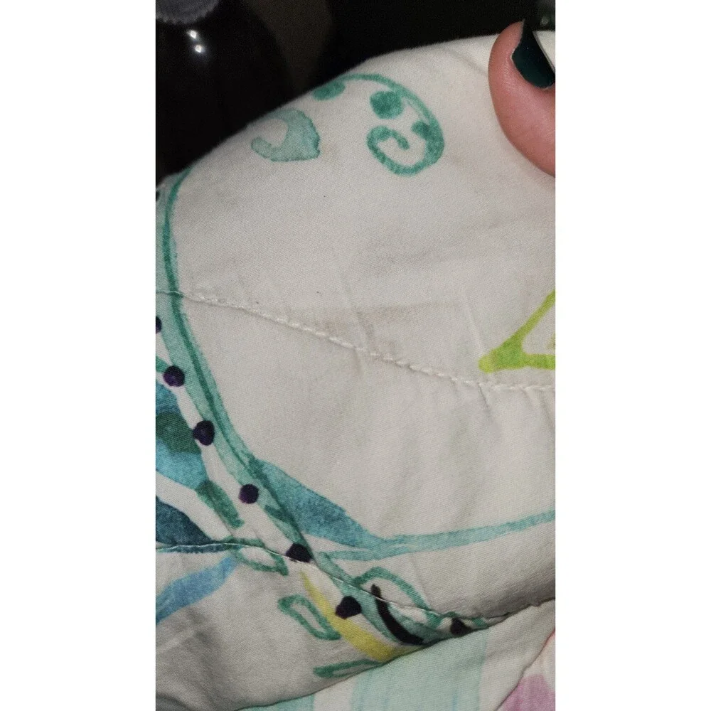Potter Barn teen pillowcase